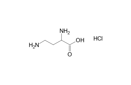 L-2,4-diaminobutyric acid, monohydrochloride