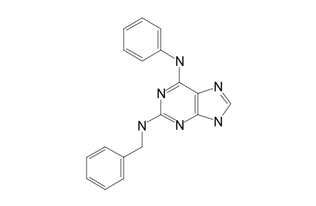 2-BENZYLAMINO-6-PHENYLAMINO-PURINE