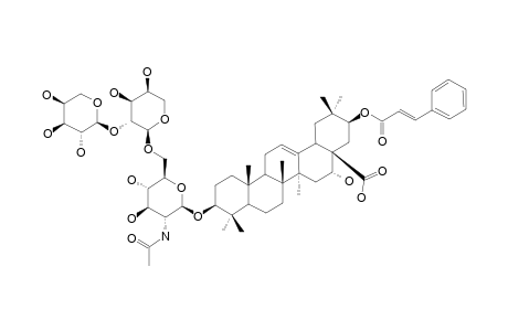 ACACIOSIDE-C;3-O-[ALPHA-L-ARABINOPYRANOSYL-(1->2)-ALPHA-L-ARABINOPYRANOSYL-(1->6)-2-ACETAMIDO-2-DEOXY-BETA-D-GLUCOPYRANOSYL]-21-O-TRANS-CINNAMOYLAC