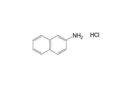 2-naphthylamine, hydrochloride