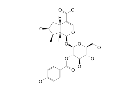 2'-O-PARA-HYDROXYBENZOYL-LOGANIC-ACID