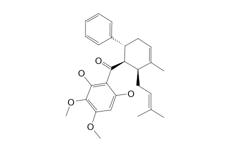 SCHEFFLERIN