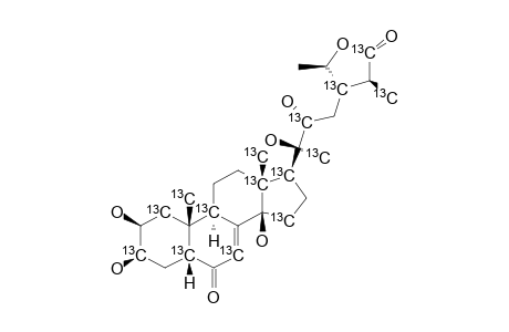 CYASTERONE