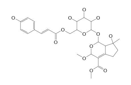 BRUNNEOGALEATOSIDE