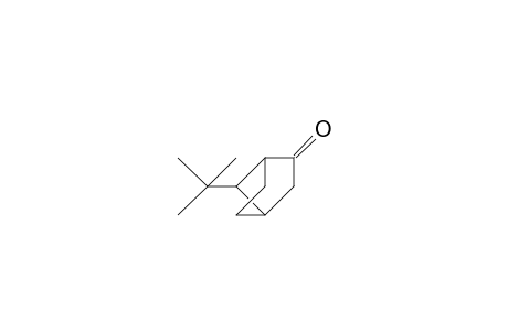 anti-7-tert.-Butyl-bicyclo-[2.2.1]-heptan-2-one