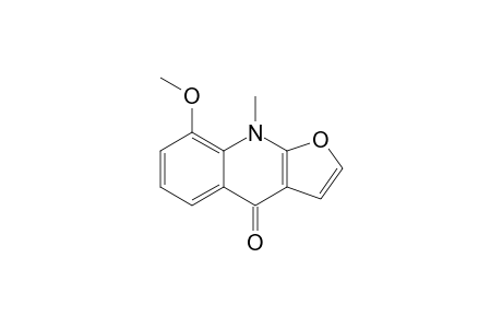 ISO-GAMMA-FAGARINE