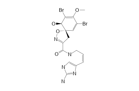 APLYSINAMISINE-1