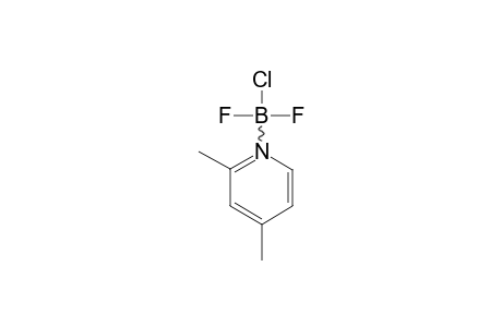 2,4-DIMETHYLPYRIDINE-CHLORO-DIFLUOROBORONE