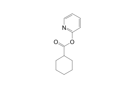 CYCLOHEXANECARBOXYLIC-ACID-2-PYRIDINYL-ESTER