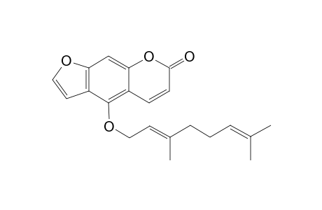 Bergamottin