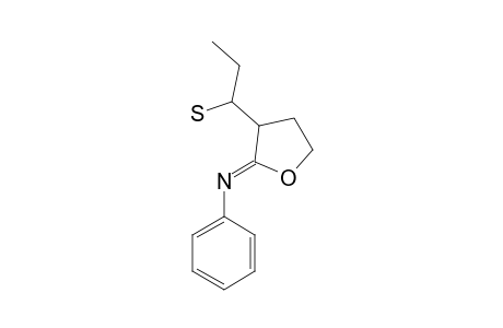 2-PHENYLIMINO-3-(1-SULFANYLPROPYL)-OXOLANE