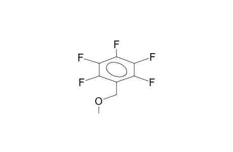 PENTAFLUOROBENZYL METHYL ETHER