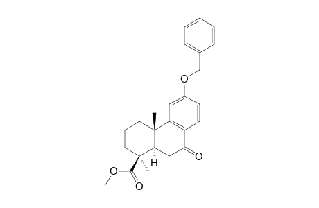 METHYL-12-BENZOYLOXY-7-OXO-PODOCARPA-8,11,13-TRIEN-19-OATE