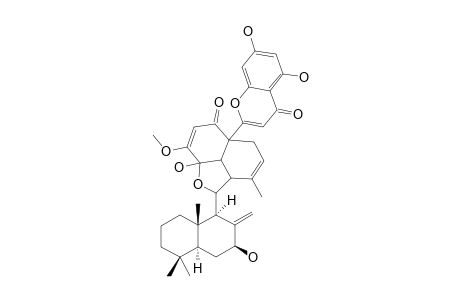 DICHROSTACHINE_Q