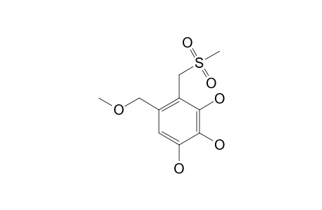 PHENOL-B;2-METHYLSULFONYLMETHYL-3,4,5-TRIHYDROXYBENZYL-METHYLETHER