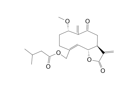 1-ALPHA-METHOXY-15-ISOVALERYLOXY-9-OXO-GERMACRA-4-TRANS,10(14),11(13)-TRIEN-12,6-ALPHA-OLIDE