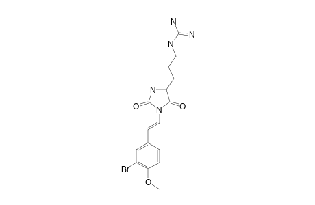 PARAZOANTHINE_D