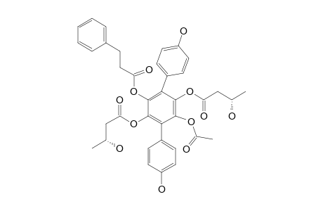 CURTISAN-E