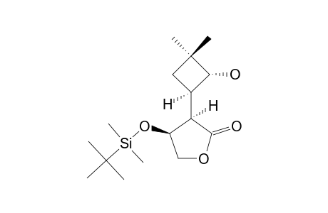 (3R,4S)-4-(TERT.-BUTYLDIMETHYLSILYLOXY)-3-[(1R,2R)-2-HYDROXY-3,3-DIMETHYLCYCLOBUTYL]-4,5-DHYDROFURAN-2(3H)-ONE