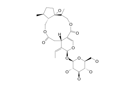 ISOJASMININ