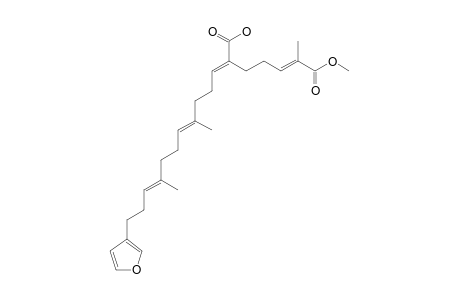 FUROSPONGIN-4