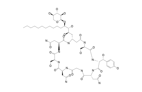 BURKHOLDINE_1213