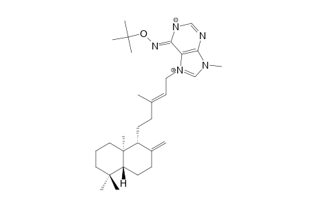 (+)-N-(6)-TERT.-BUTOXYAGELASINE_D