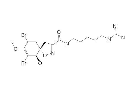 APLYSINAMISINE-2