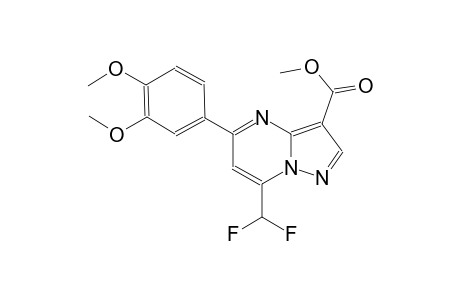 methyl 7-(difluoromethyl)-5-(3,4-dimethoxyphenyl)pyrazolo[1,5-a]pyrimidine-3-carboxylate