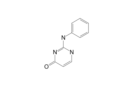 2-(PHENYLAMINO)-PYRIMIDIN-4-ONE