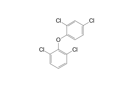 2,2',4,6'-TETRACHLORO-DIPHENYLETHER