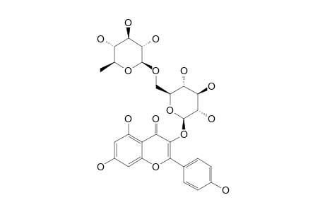 KAEMPFEROL-3-O-RUTINOSIDE