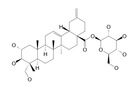 MUTONGSAPONIN-A;2-ALPHA,3-BETA,23-TRIHYDROXY-30-NOROLEAN-12-EN-28-OIC-ACID-BETA-D-GLUCOPYRANOSYLESTER