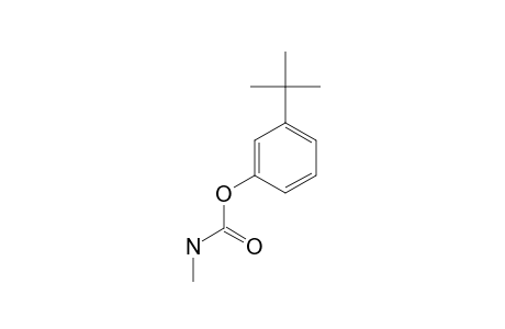 META-TERT.-BUTYLPHENYL-N-METHYLCARBAMATE