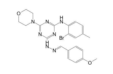 benzaldehyde, 4-methoxy-, [4-[(2-bromo-4-methylphenyl)amino]-6-(4-morpholinyl)-1,3,5-triazin-2-yl]hydrazone