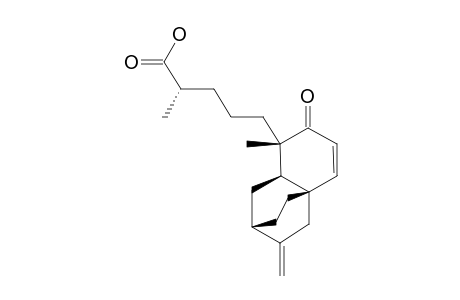 PLATENCIN_SL5