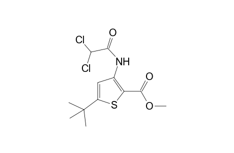 5-tert-butyl-3-(2,2-dichloroacetamido)-2-thiophenecarboxylic acid, methyl ester