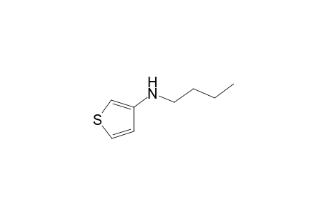 3-N-(Butylamino)thiophene