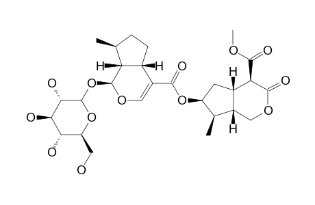 LACINIATOSIDE-3