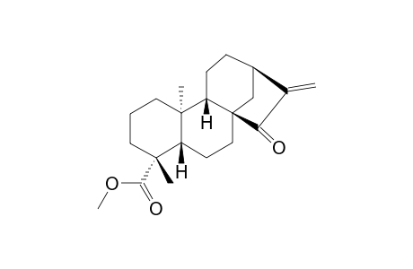 METHYL-ENT-15-OXO-KAUR-16-EN-19-OATE