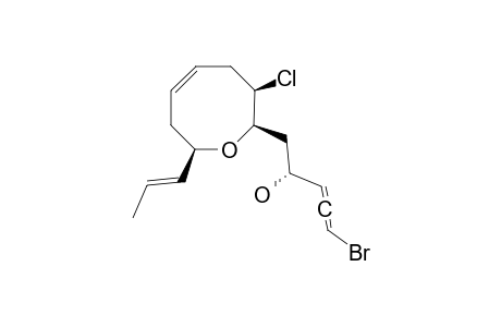 MARILZALLENE