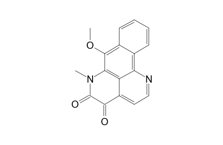 IMBILINE-1