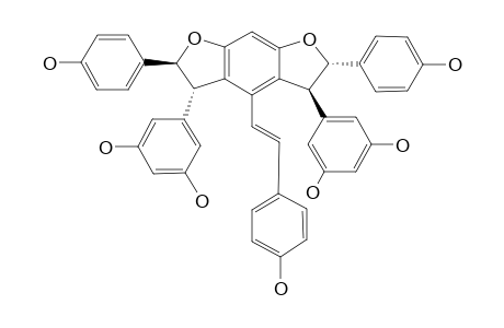 TRANS-GNETIN-H