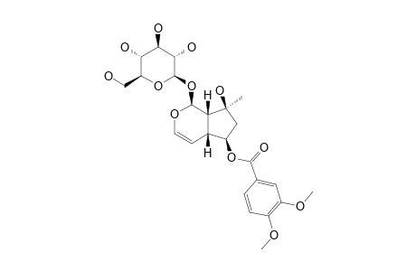 6-O-(3,4-DIMETHOXYBENZOYL)-AJUGOL