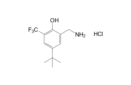 alpha-AMINO-4-tert-BUTYL-alpha',alpha',alpha'-TRIFLUORO-2,6-XYLENOL, HYDROCHLORIDE