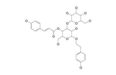 TRANS-LANCETOSIDE;2-(4-HYDROXYPHENYL)-ETHYL-BETA-D-GLUCOPYRANOSYL-(1->3)-4-O-TRANS-PARA-COUMAROYL-BETA-D-GLUCOPYRANOSIDE