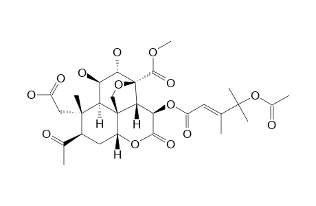 BrUCEANIC-ACID-C