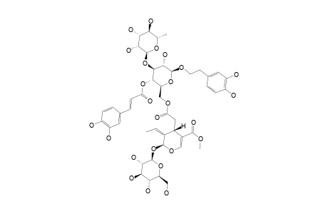 ISOOLEOACTEOSIDE