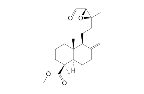 METHYL-13-XI,14-XI-EPOXY-15-OXO-LABDEN-19-OATE;DIASTEREOMER-#3