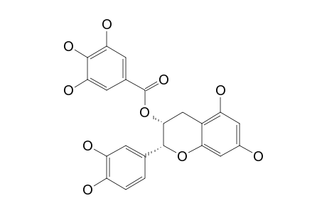 (-)-EPICATECHIN-3-O-GALLATE